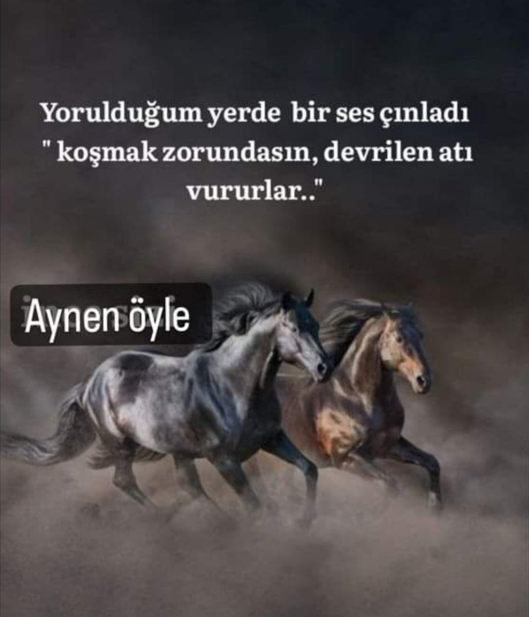 <a href="/selvacam/">Lütfiye Selva Çam 🇹🇷</a> Herkes çocuğuna sahip çıksın bugün hayvanları öldüren yarın gözünü halk dikecek #Istifa edin halk sizin bu yasanizi istemiyor. <a href="/Akparti/">AK Parti</a> <a href="/TCTarim/">T.C. Tarım ve Orman Bakanlığı</a>