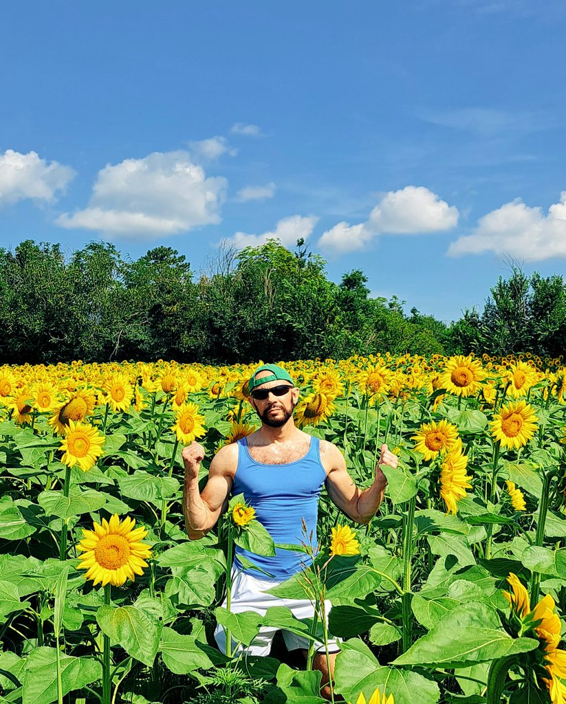 🌻🌻🌻