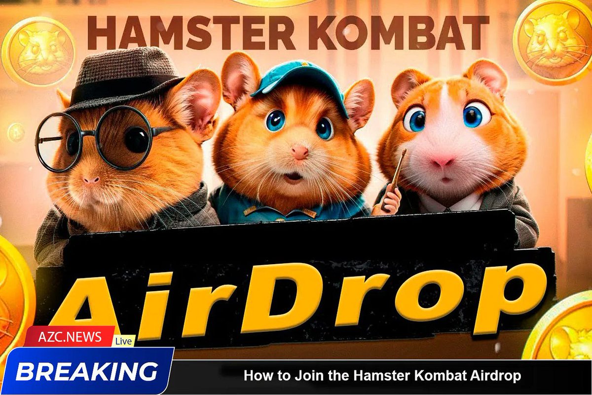 Timghydi's tweet photo. @hamster_kombat Hamster Airdrop Season is coming! 

🟨🟨🟨🟨🟨🟨🟨🟨🟨⬜️ 90%

  👉 https://t.co/10xECOMcVk

More activity in your wallet - more points.
Check your token allocation now so you don’t miss out! https://t.co/CHrWmE8x0S