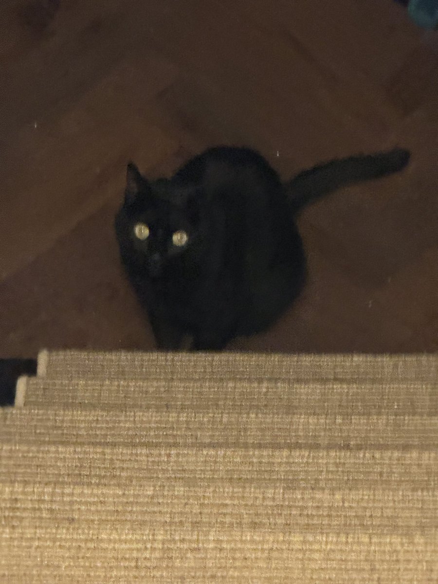 Have not been doing anything I shouldn’t have…