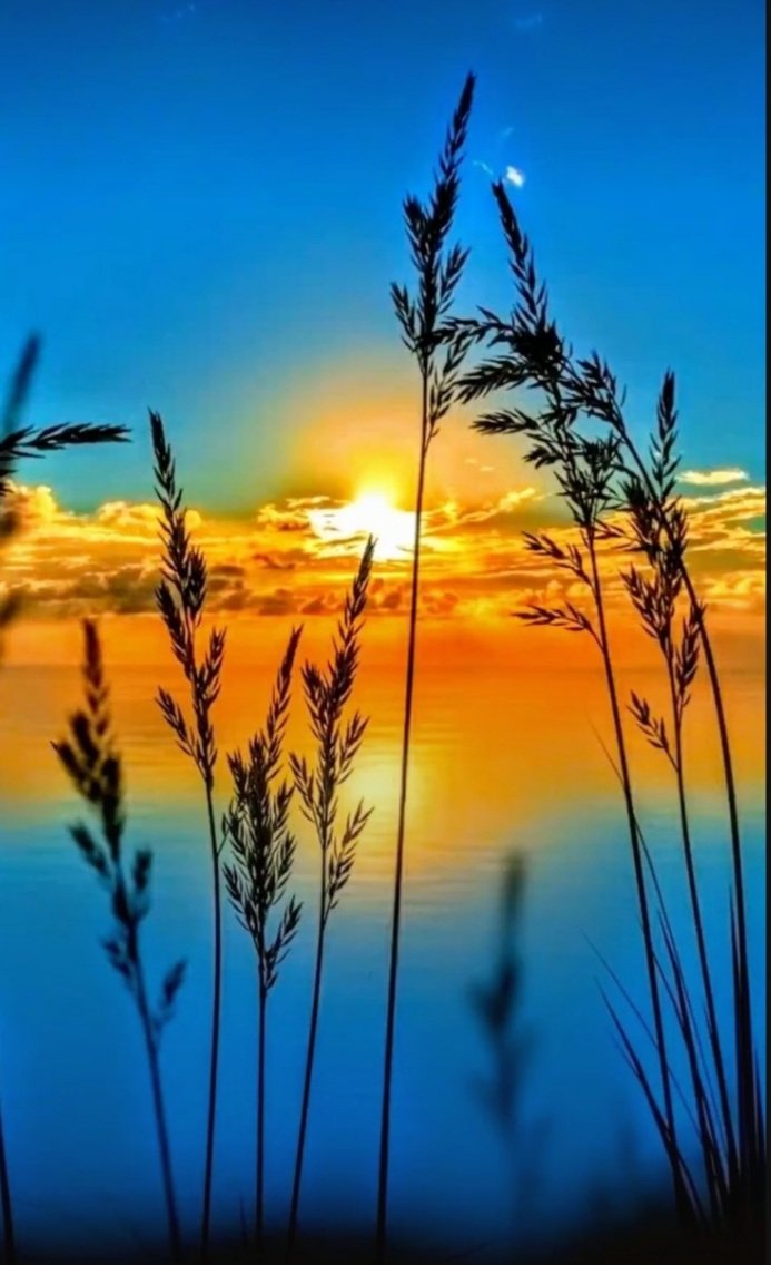 MARIALUISAMAR5's tweet photo. It ends on Wednesday, Thursday arrives. Recharge your strength. renewable energies to enjoy the weekend!!!   G.NIGHT 🟠 https://t.co/vAn7wopIQm