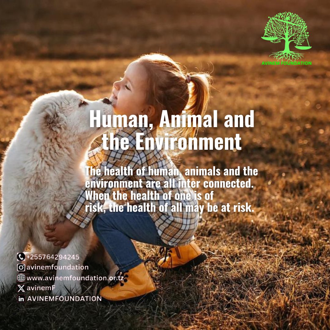 AvinemF's tweet photo. Human are inextricably linked to the environmental landscape within which our daily lives unfold. We depend completely on nature for essential, life - sustaining services- clean air and water, stable climate food. #environment #ClimateAction #Sustainability #climatejustice https://t.co/T8M8yWY2ox