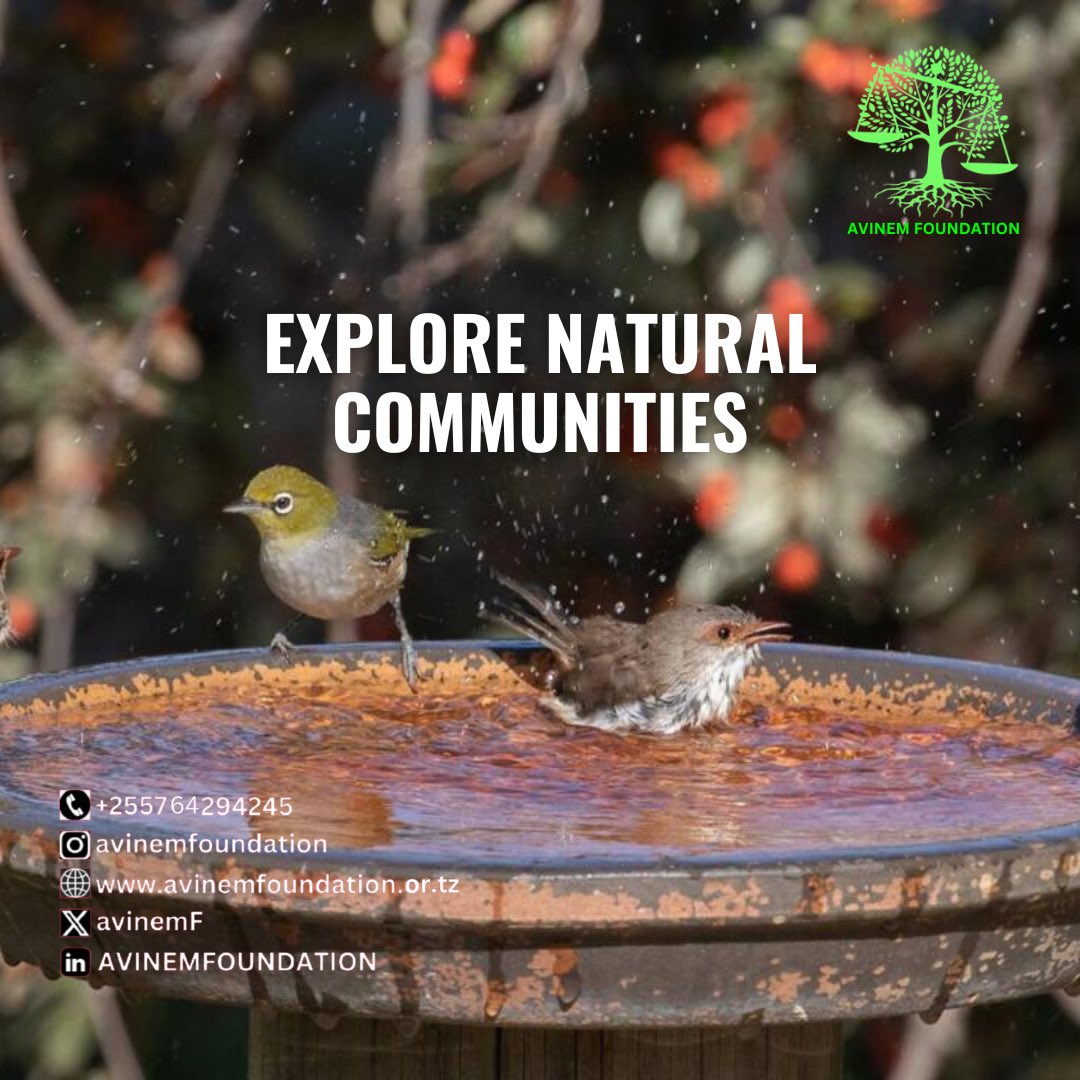 AvinemF's tweet photo. Human are inextricably linked to the environmental landscape within which our daily lives unfold. We depend completely on nature for essential, life - sustaining services- clean air and water, stable climate food. #environment #ClimateAction #Sustainability #climatejustice https://t.co/T8M8yWY2ox