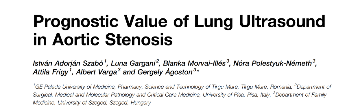 LunaGargani's tweet photo. Very interesting data showing that LUS B-lines are an independent predictor of events in severe aortic stenosis.

This excellent paper reinforces and expands the concept we had proposed in 2022 on the role of B-lines in aortic stenosis.

#VHD is a new frontier of the use of #LUS. https://t.co/xfBxfjvzhZ