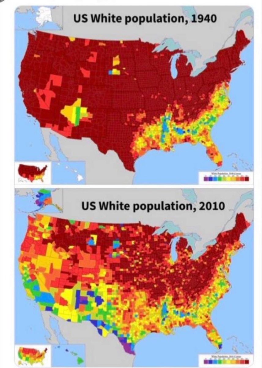 DrLoupis's tweet photo. What is happening to the white population of America and EU? https://t.co/LmbMpmhHEg