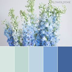 gisimagen's tweet photo. Al momento de hacer la maleta, considera que los colores de esta temporada que son perfectos para la tarde son #azul en todas sus gamas, #blanco, #rosa y #lila. Toma en cuenta de estos los que le van a tu #colorimetría. Para descubrirlo #lmvdt @oceanomexico @oceanoargentina https://t.co/liCxOMowfZ