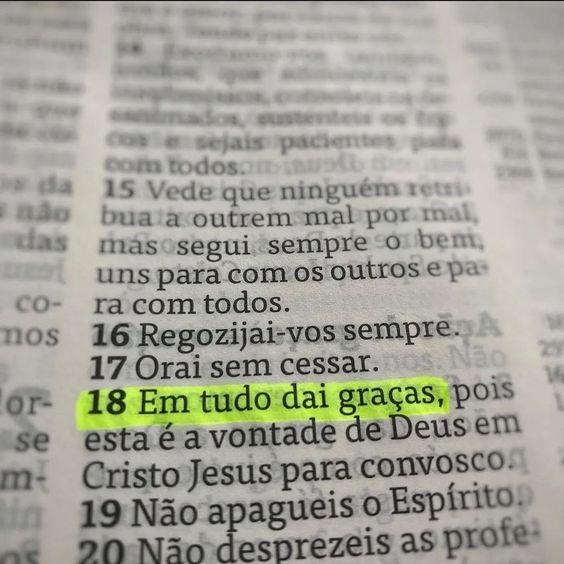 sigagalatas's tweet photo. em tudo dai graças

amém https://t.co/tYYtXhgaaD