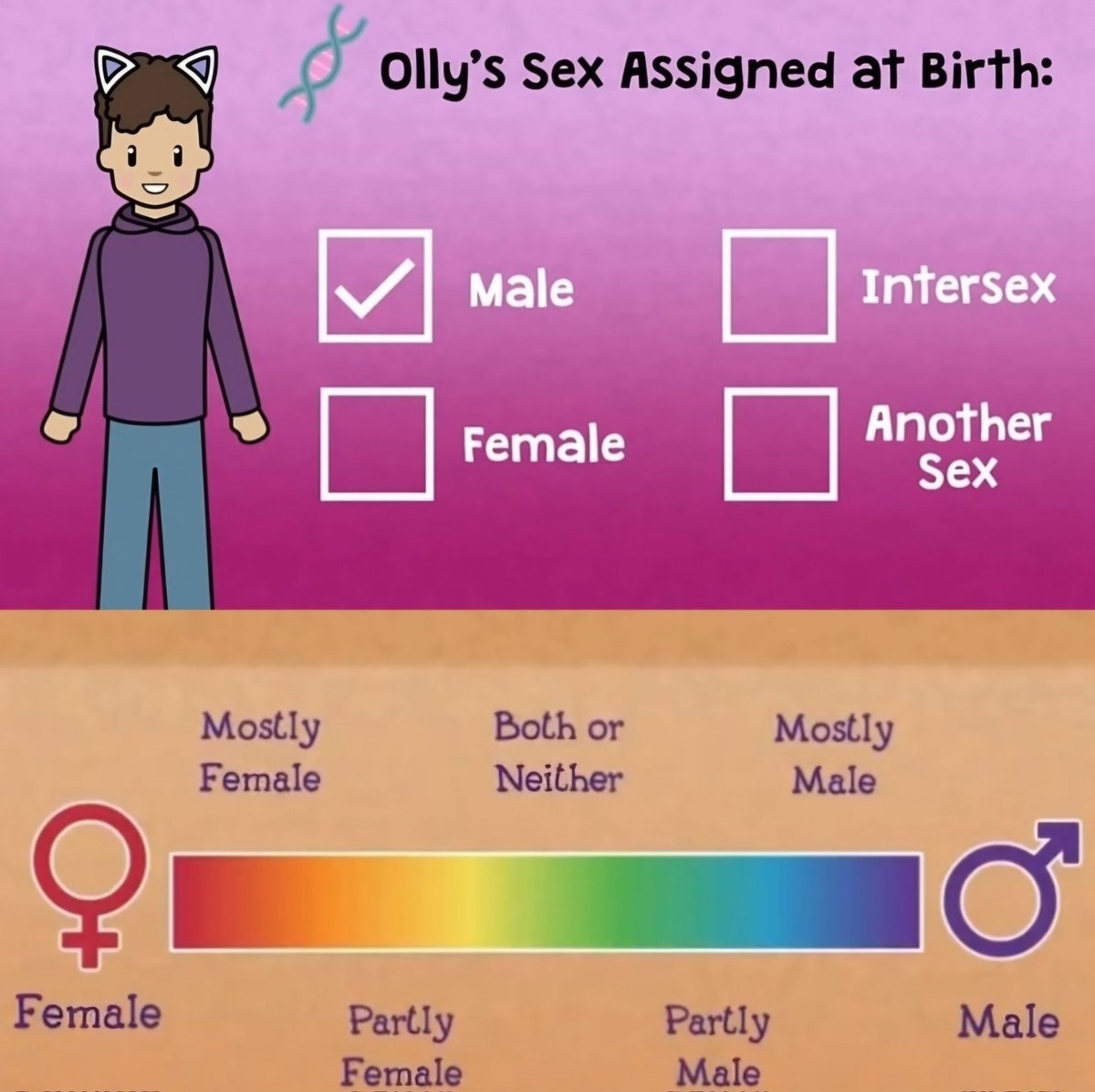 Gays Against Groomers tweet media