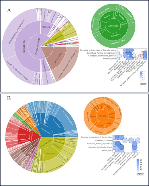 Hortres's tweet photo. In sweetpotato, metagenomic communities affect plant–insect interactions, influencing breeding and phenotypic traits. #PlantInsectInteraction #Sweetpotato #Metagenomics @OxfordJournals @Hortres
Details:https://t.co/cwvVEfjfQK https://t.co/YCc8jzT9JG