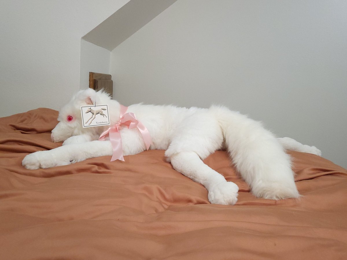 vertebress's tweet photo. Just sold this beautiful custom albino fox plushie that I made! I'm going to see how the experience is posting on X. Just thought I'd try and reach out on another platform. #plushies #furrycommision https://t.co/NikcDQ295Z