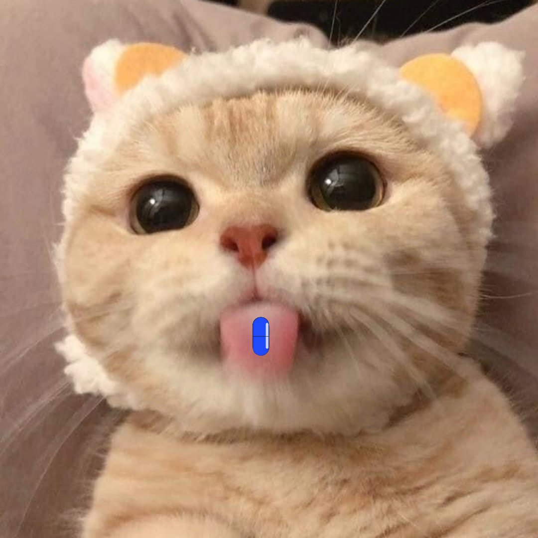 Mlem tweet media