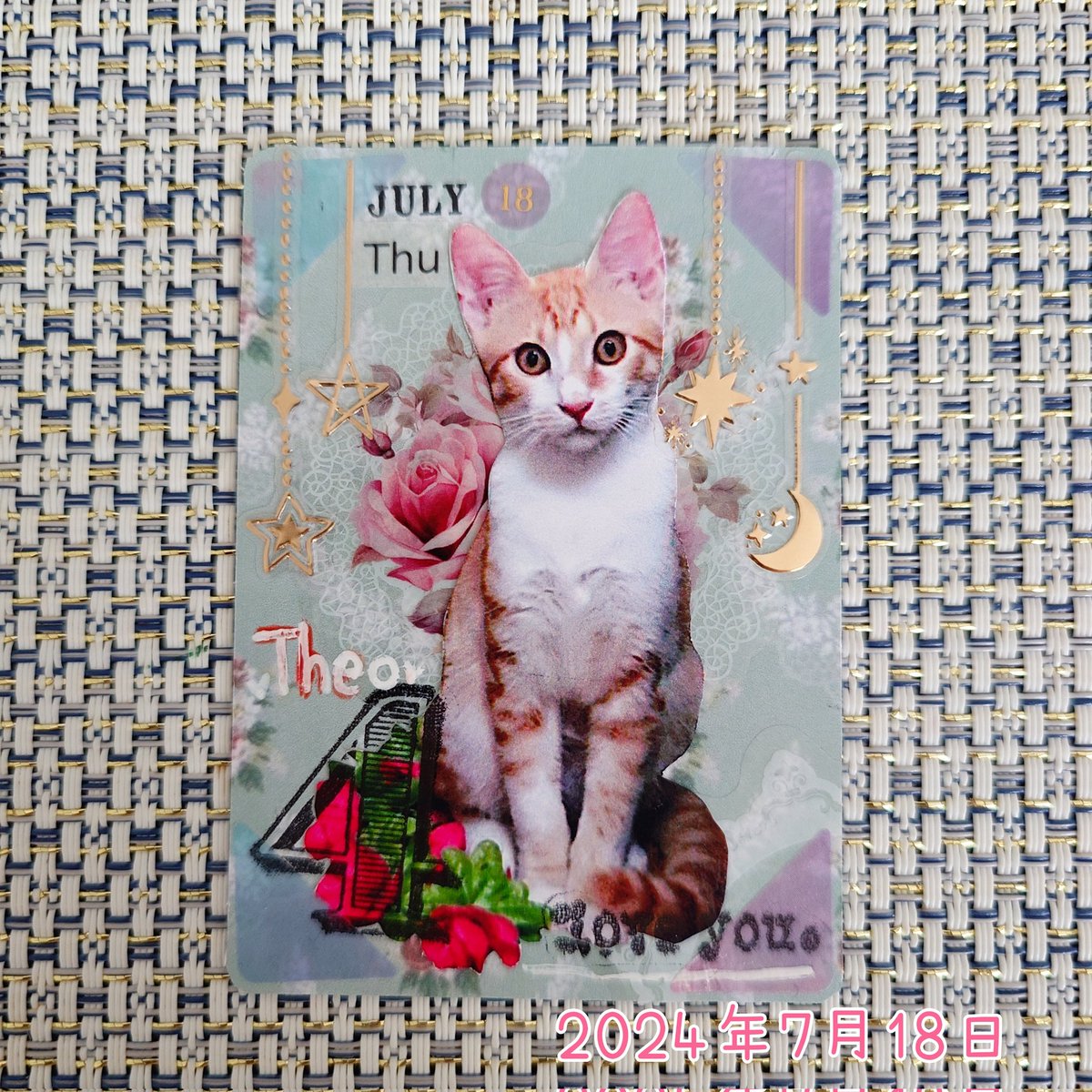 enu_craft029's tweet photo. 本日の #1日1枚コラージュ作品 。今日は我が家の主が家族になってくださった記念日です！4年目を迎えました！
#コラージュ好きな人と繋がりたい #collage #collageart #コラージュ #ArtistTradingCard #ATC #猫好き #猫の下僕 https://t.co/6ozpxPZOhv