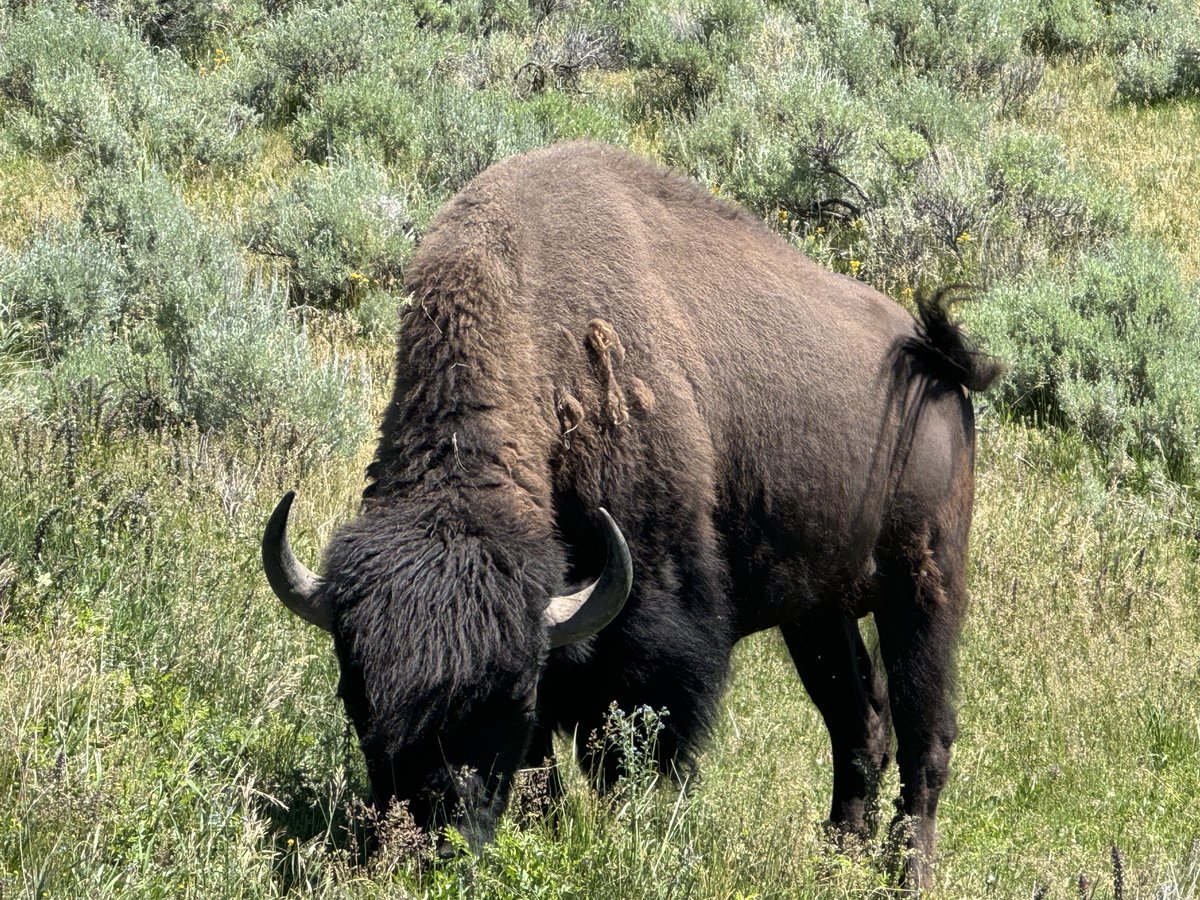 MatthewSheares's tweet photo. Road trip; adventure, sights and always a life lesson or two...  our country is beautiful.  Smile big and enjoy - peace https://t.co/INrrS8iZOC