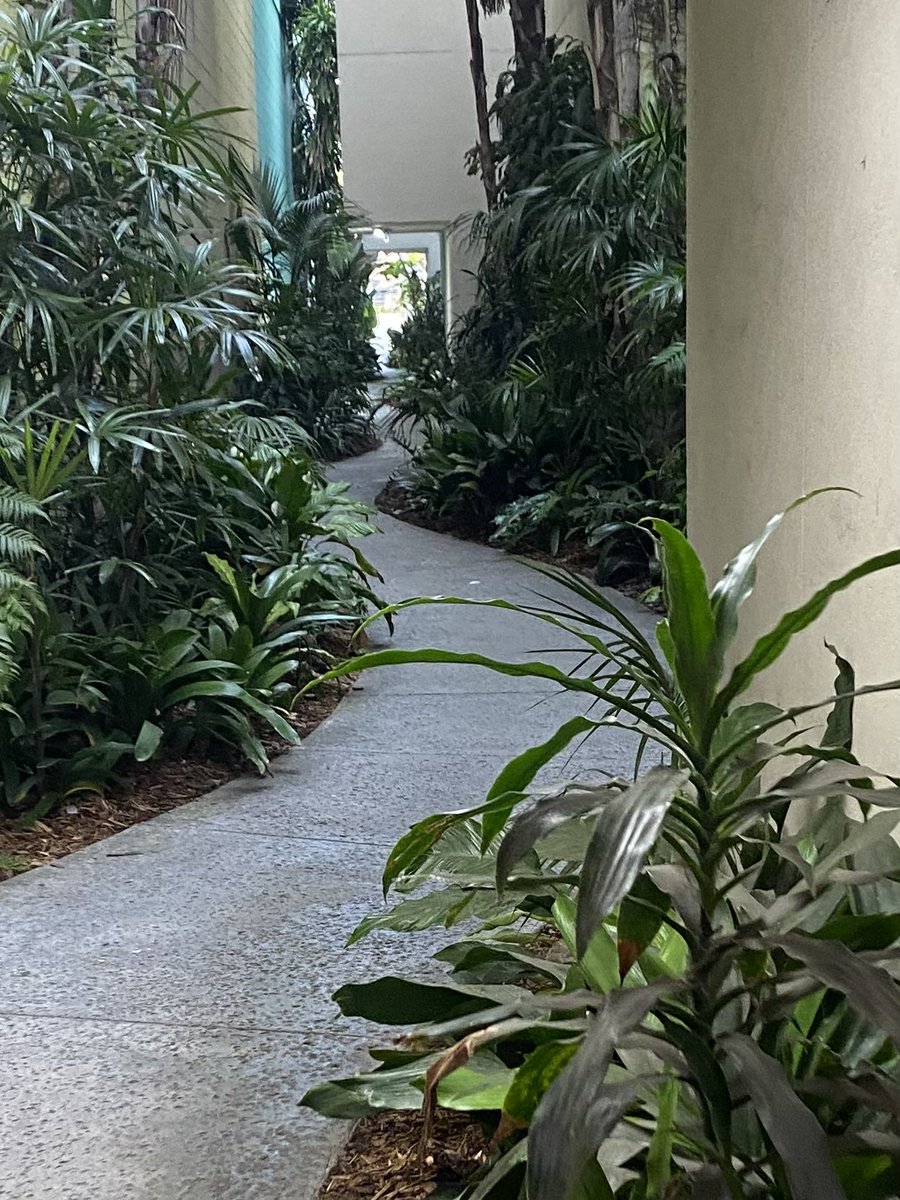 John Nelson tweet media