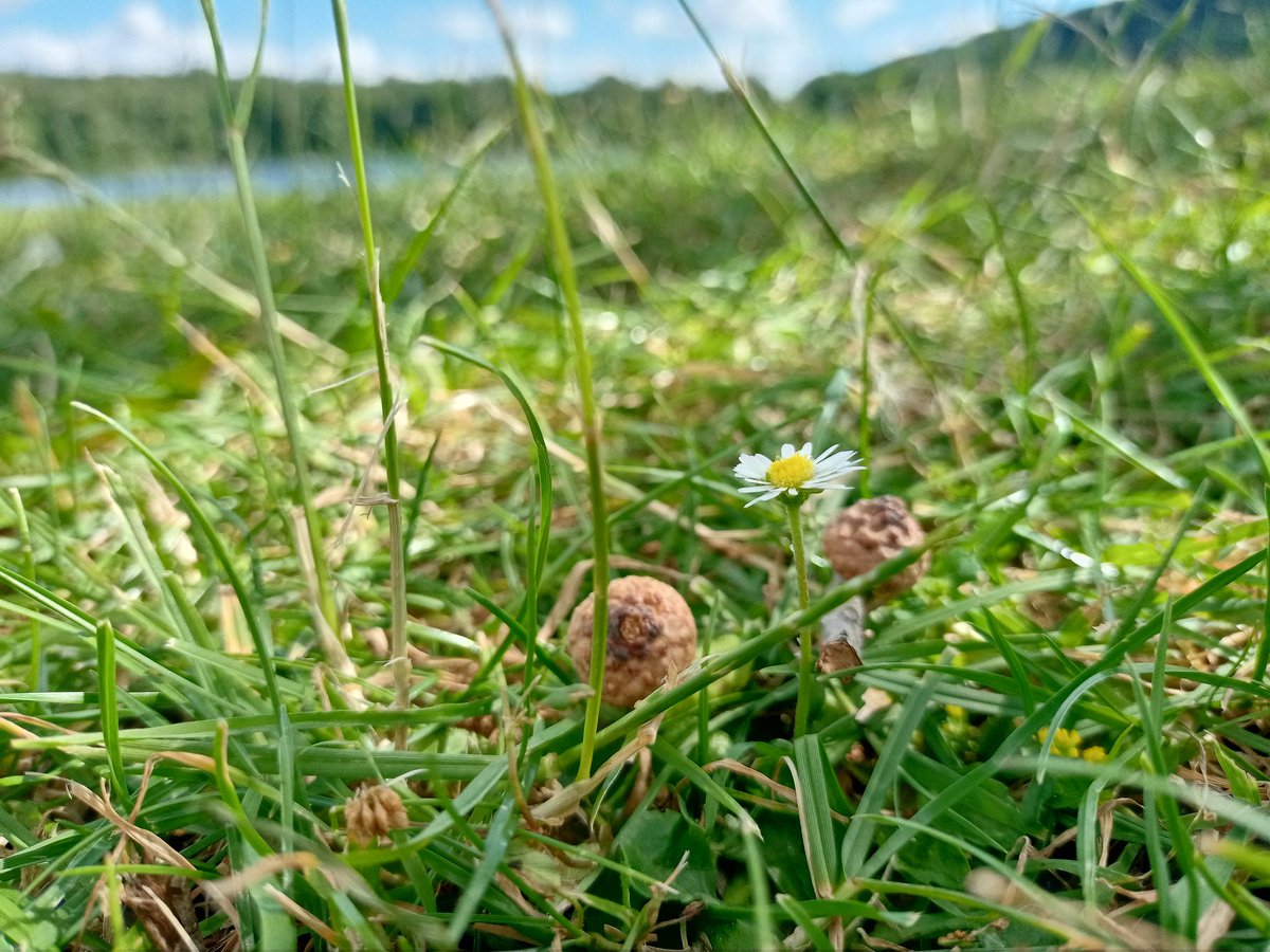 Rabim bu sabah müjdeler ile uyanmayı bekleyen kardeşlerimizin o içen dua ve niyazlarını kabul buyursun (Amin). Hayırlı sabahlar