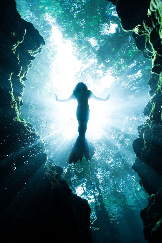 OBRIGADA OTTO POR ME CONTAR O QUE ACONTECEU DEPOIS DE TROPA 
AGORA ESTOU VICIADA NELA

Rebeca Blackheart Santiago