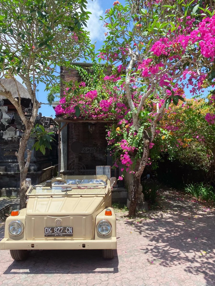 Richcscarrell's tweet image. 