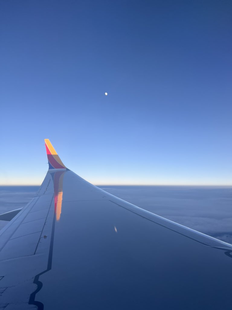 Dr. Todd Adams tweet media