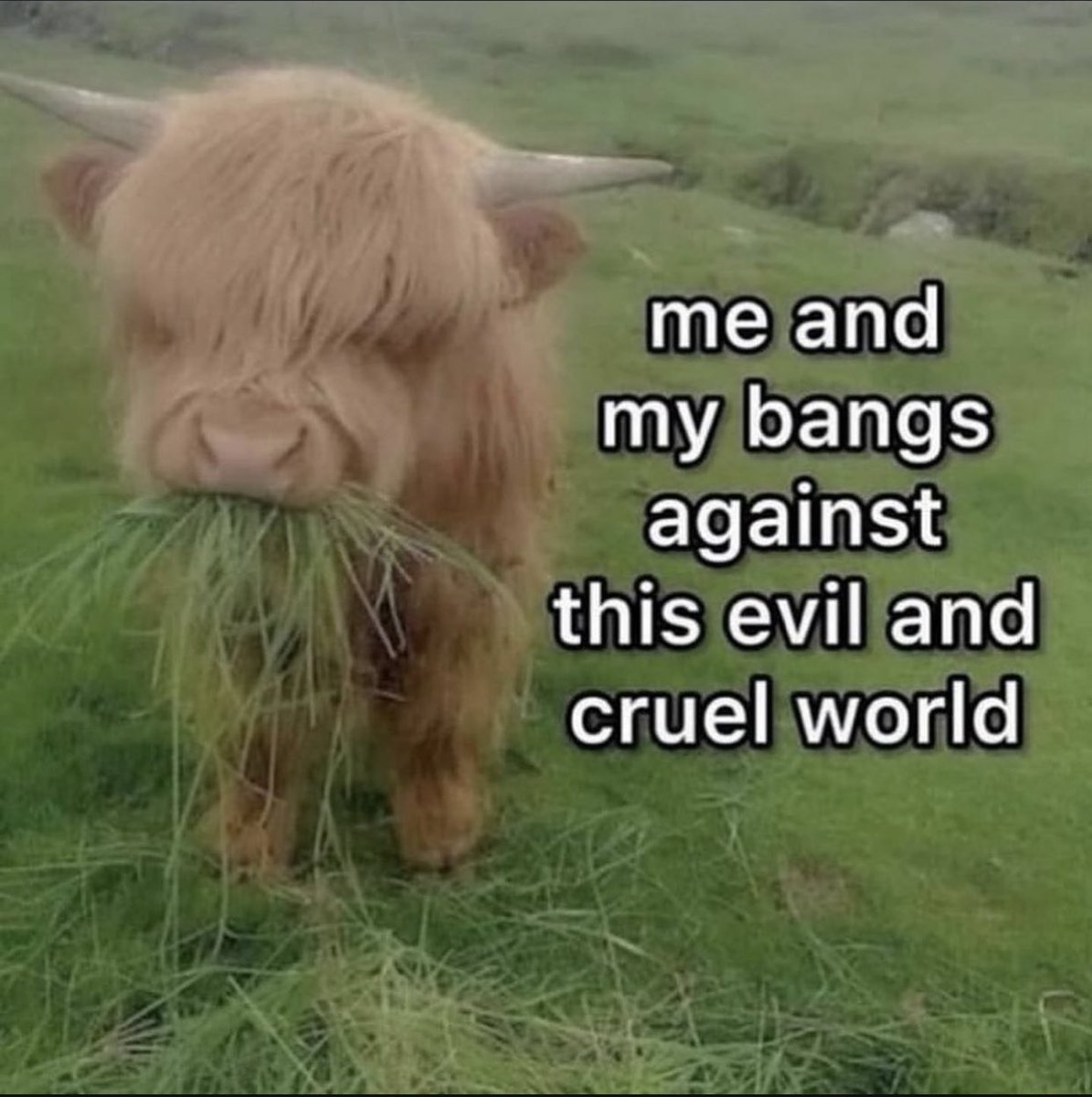ㅤ