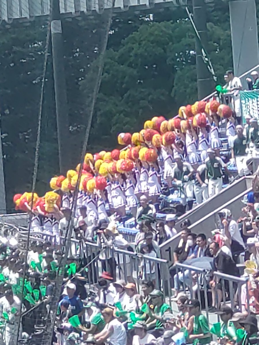EO8o7e8IkWvbdNF's tweet photo. #市立船橋6  ☓　#東京学館浦安1 
市船の
チアは最高です https://t.co/v3kPfGfh2x
