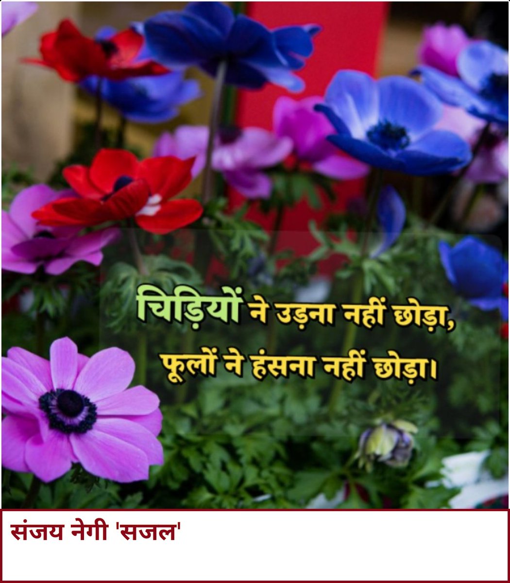 sajalsanjaynegi's tweet photo. Morning thoughts 
#thoughts #thought #thinking #thoughtfull https://t.co/HSsCZNes6t