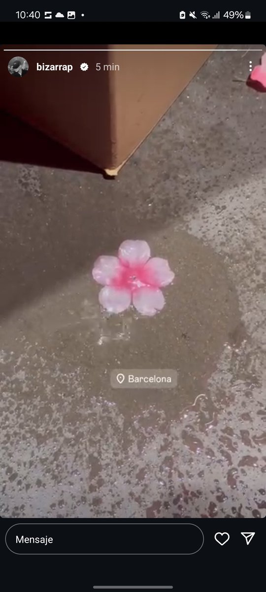 sovlshine's tweet photo. O sea que la siguiente session de @bizarrap va a ser con La Rosalía 🌸👀 https://t.co/zas9XWDtVz