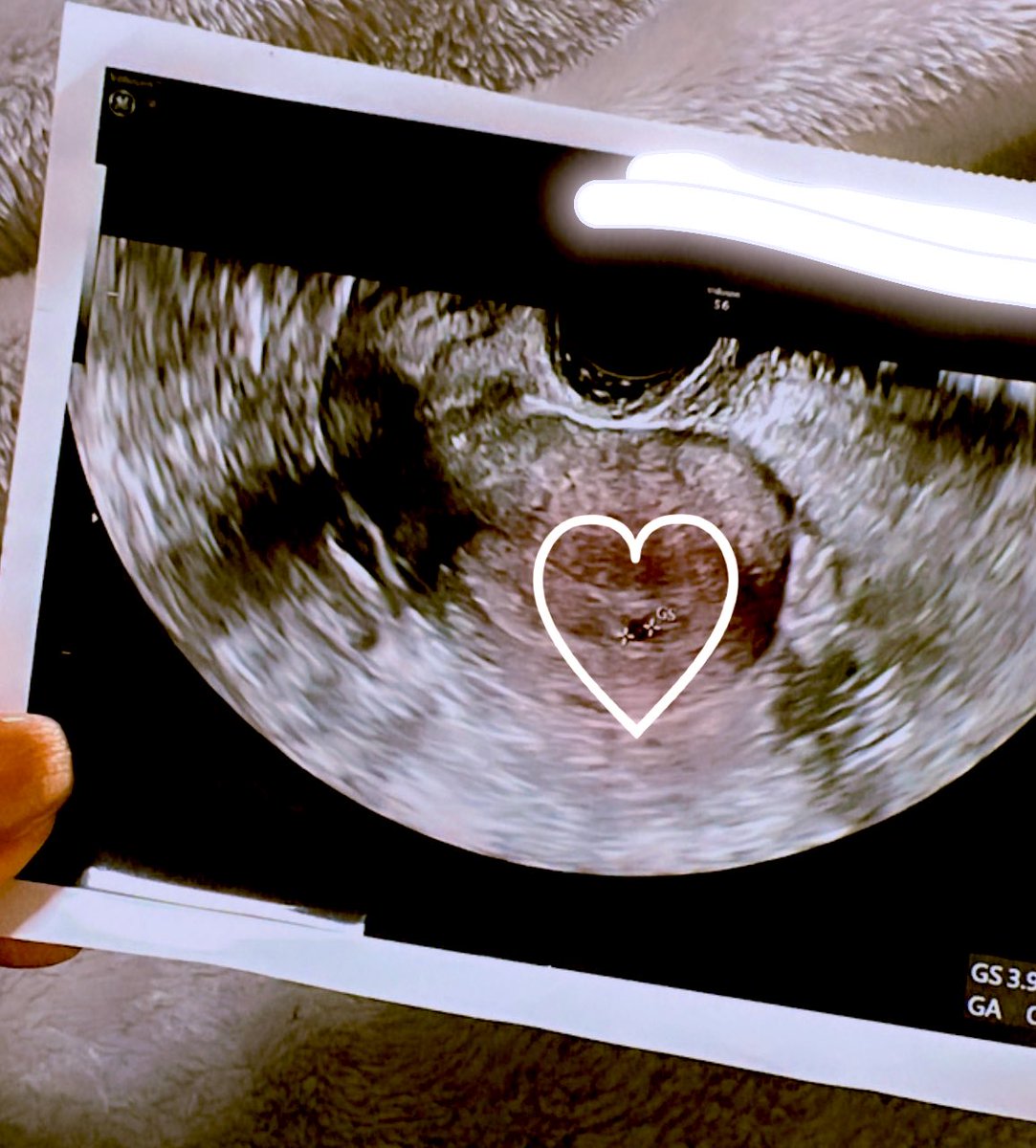 戦̶犯̶Q̶u̶e̶e̶n̶ tweet media