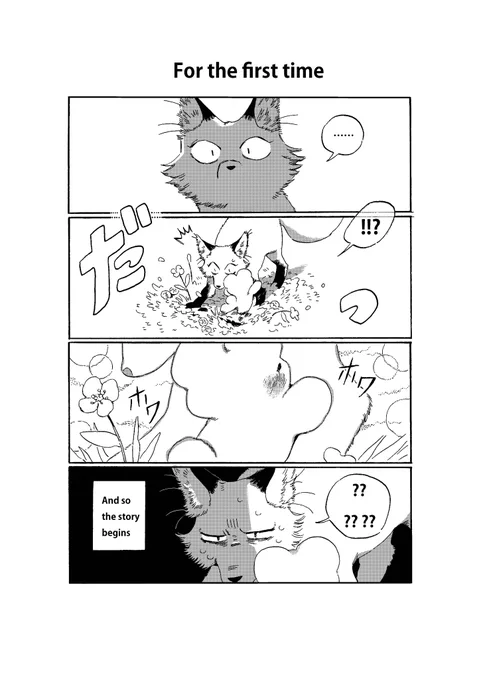 (2/8) 