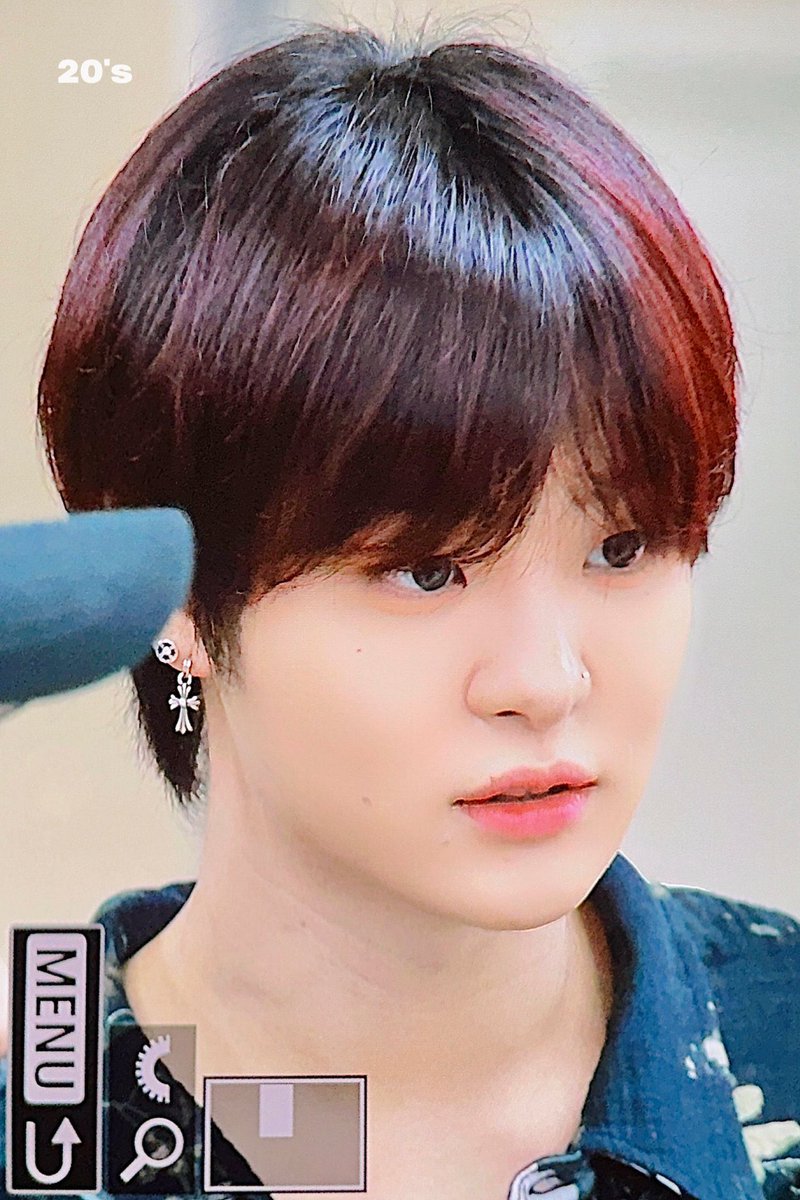 귀숨긴강아지