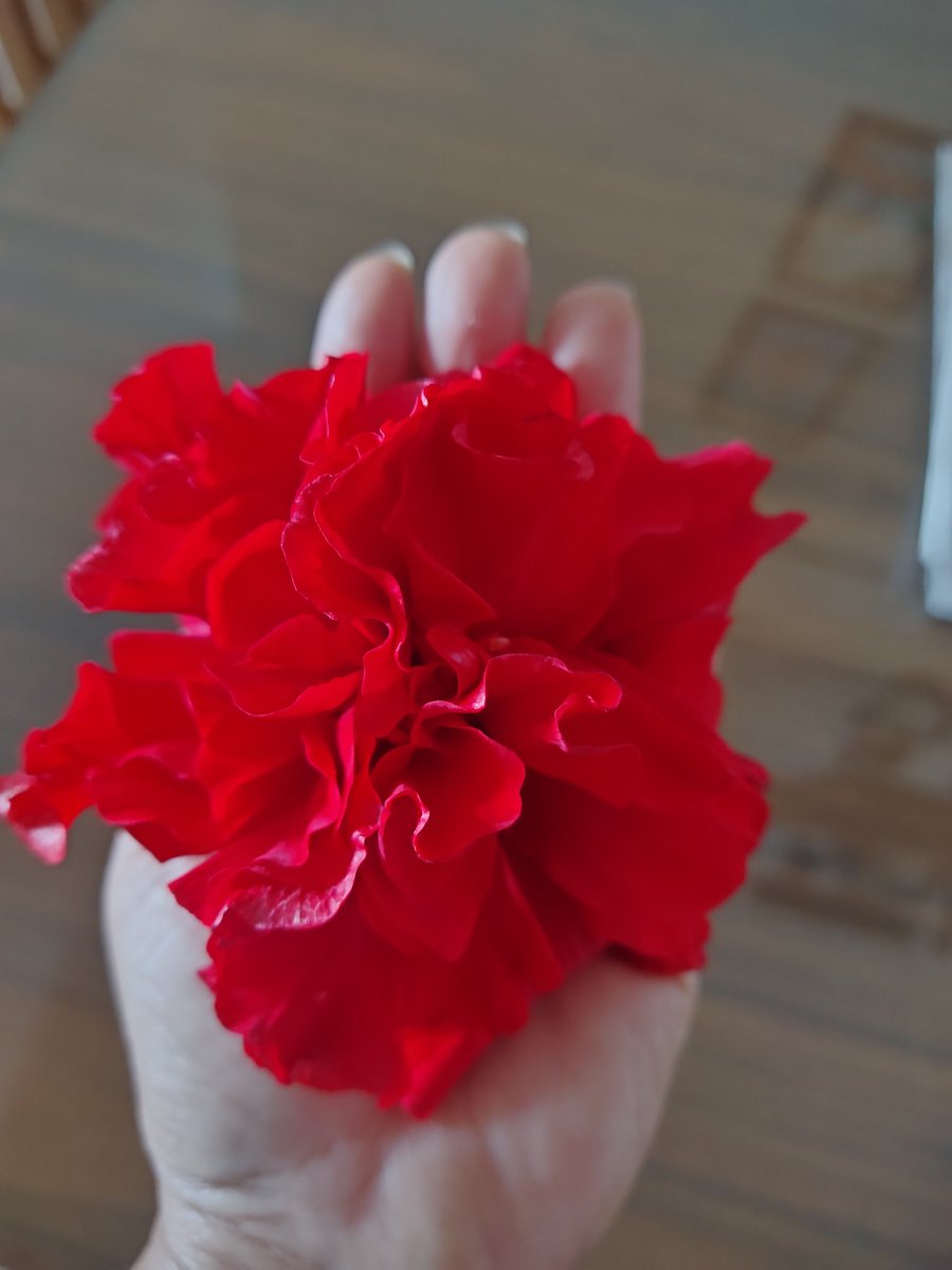 वक़्त तस्वीरें चुराता ही रहा हम भी मगर
नित नयी तस्वीर दिल के 'फ्रेम' में मढ़ते रहे।
🌺Have A Lovely Day 🌺🌿🌷