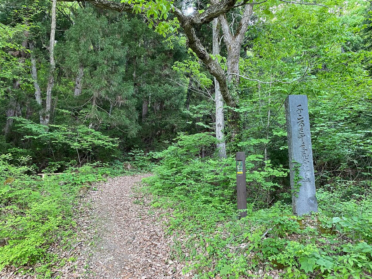 MorandIsabelle's tweet photo. 出羽・高楯城（亀ヶ岡城）
①現地説明板
②登城口。他にも入口あり
③主郭（山頂）の虎空蔵尊
④主郭から上山市一望。話題になった高層マンションも見える

ここは軽登山になる上、登城口の駐車スペースまで道が狭くて難易度高い。遠征初日の最後に行った城です🚙

#城 #楯 #高楯城 #出羽国 #上山市 https://t.co/JqkpfBT590