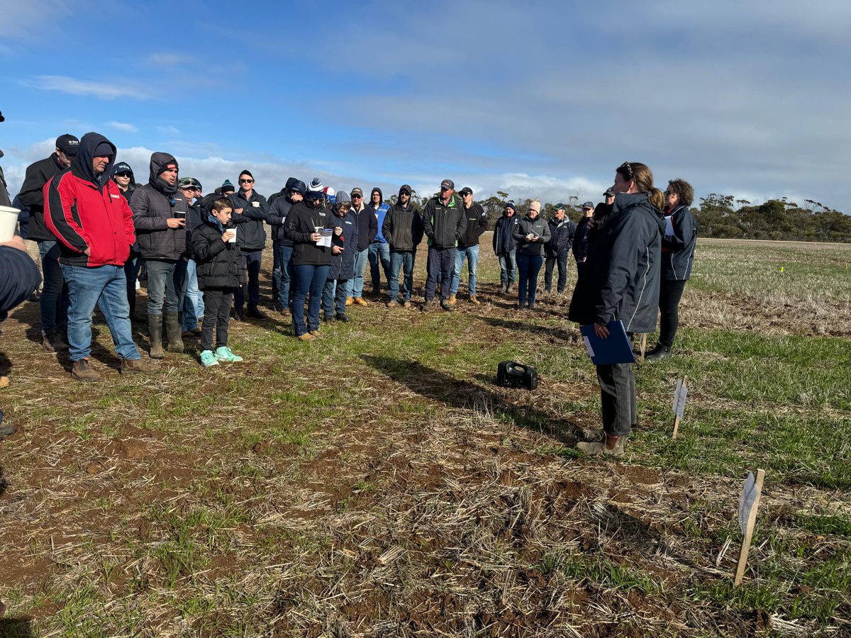 FarmSimple by CroppaCo tweet media