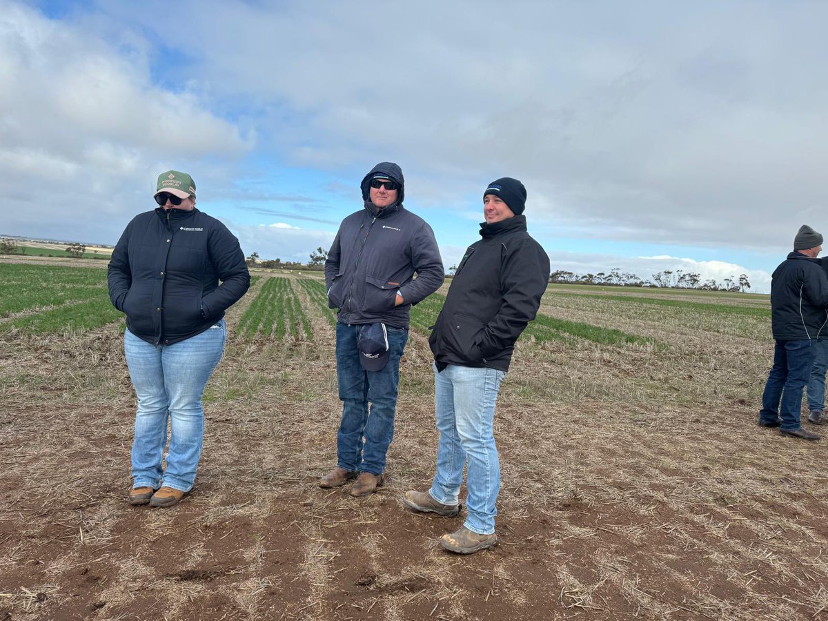 FarmSimple by CroppaCo tweet media