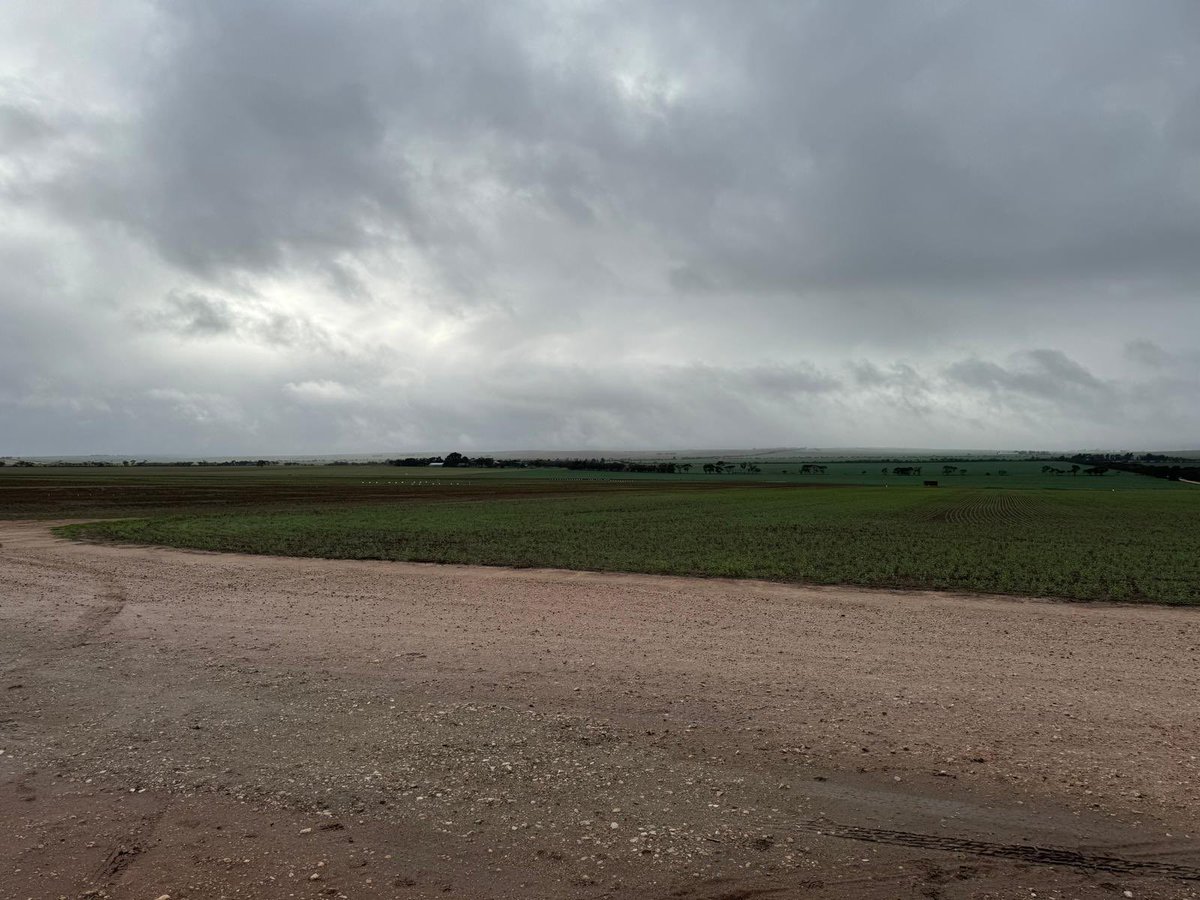 FarmSimple by CroppaCo tweet media