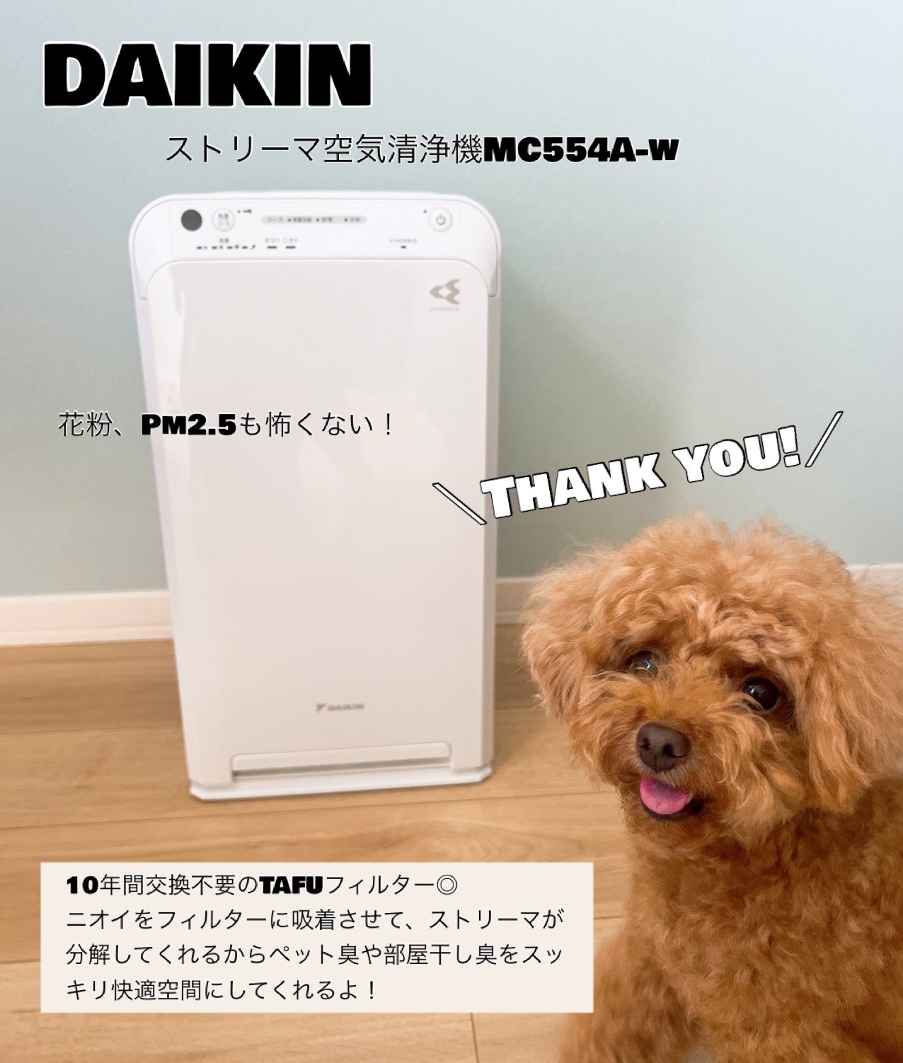 ダイキン DAIKIN ストリーマ空気清浄機 MC55U-W ◎しまろん◎ on X 