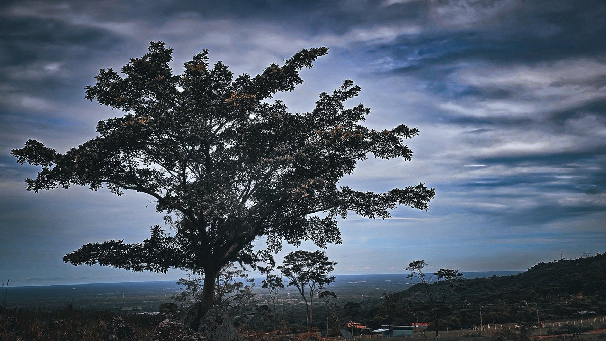 Ondippulee's tweet photo. An overcast sky over the plains, and it may rain any time. If you zoom in, you can see Restrepo, Meta at the distance, right at the end of the mountains and the beginning of the plains.
Meta department is bountiful, in fertile land, water, people, and culture.
#ProjectMeta https://t.co/hLMfqhu5SJ