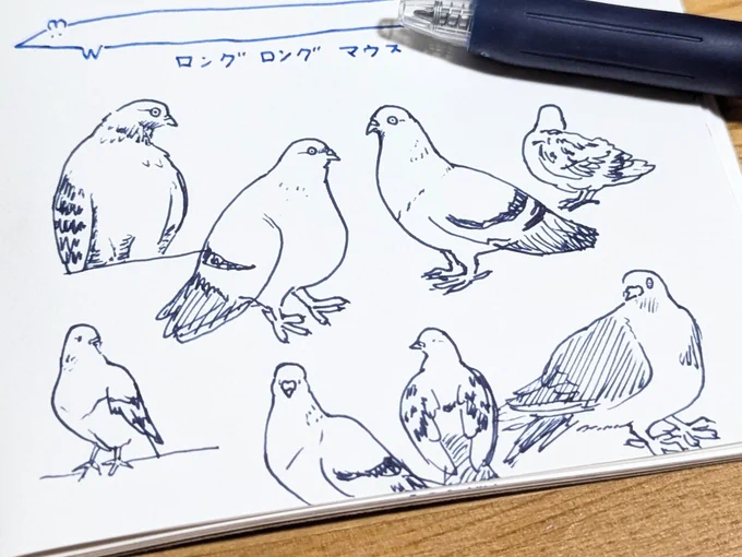 見ないで鳩を描けるようになりたいポ 