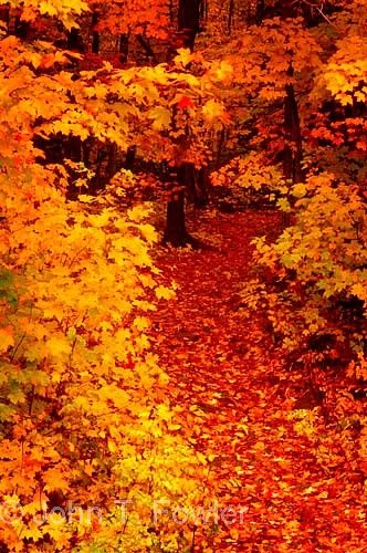 The best way out is always through.

Robert Frost