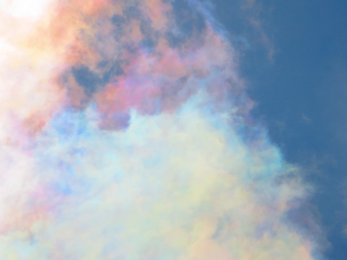梅雨明けの空で彩雲に出会いました。