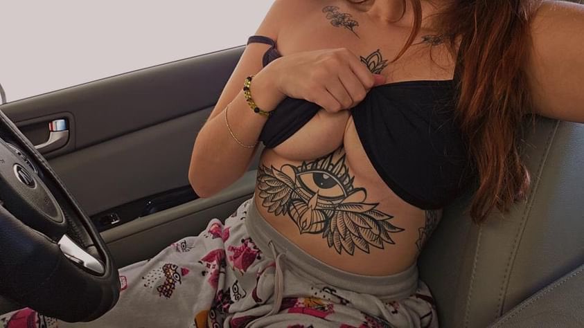 c3 panther tweet media