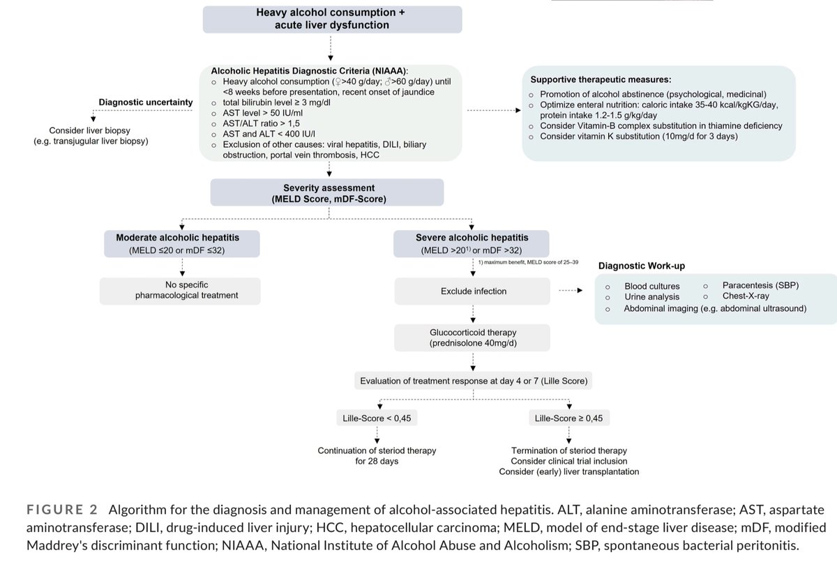 🌟 ALCOHOLIC HEPATITIS - Management 

From Management of alcoholic hepatitis: A clinical perspective
onlinelibrary.wiley.com/doi/full/10.11…