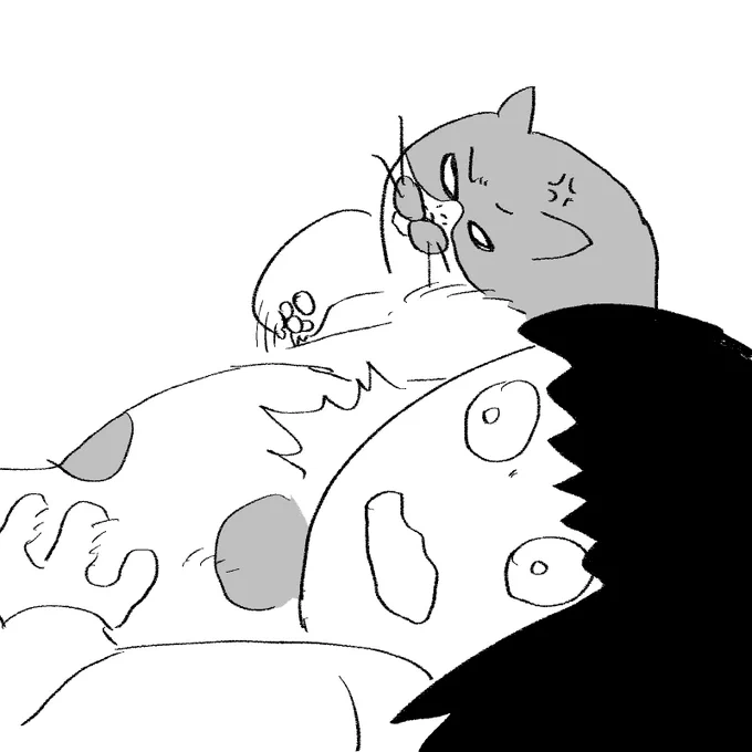 さびしんぼ甘えん坊でおなじみの愛猫にしつこくまとわりつきビンタされた・・😢