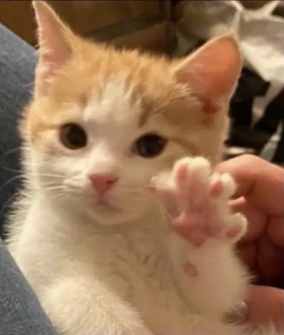 hey