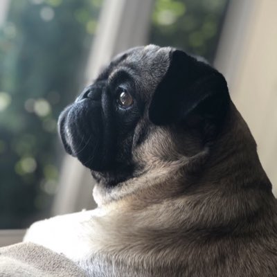 MarkAllen1217's tweet photo. #NewProfilePic https://t.co/gSZo5wjhtQ