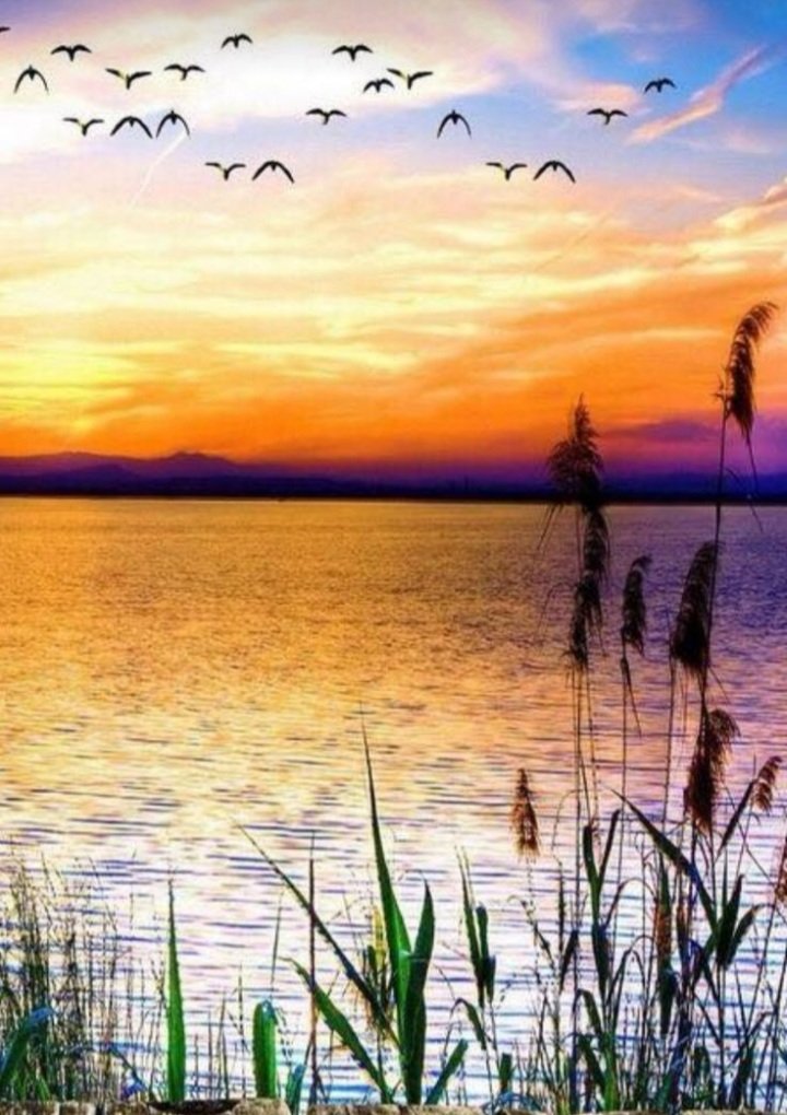 MARIALUISAMAR5's tweet photo. https://t.co/BkrYmDJckh