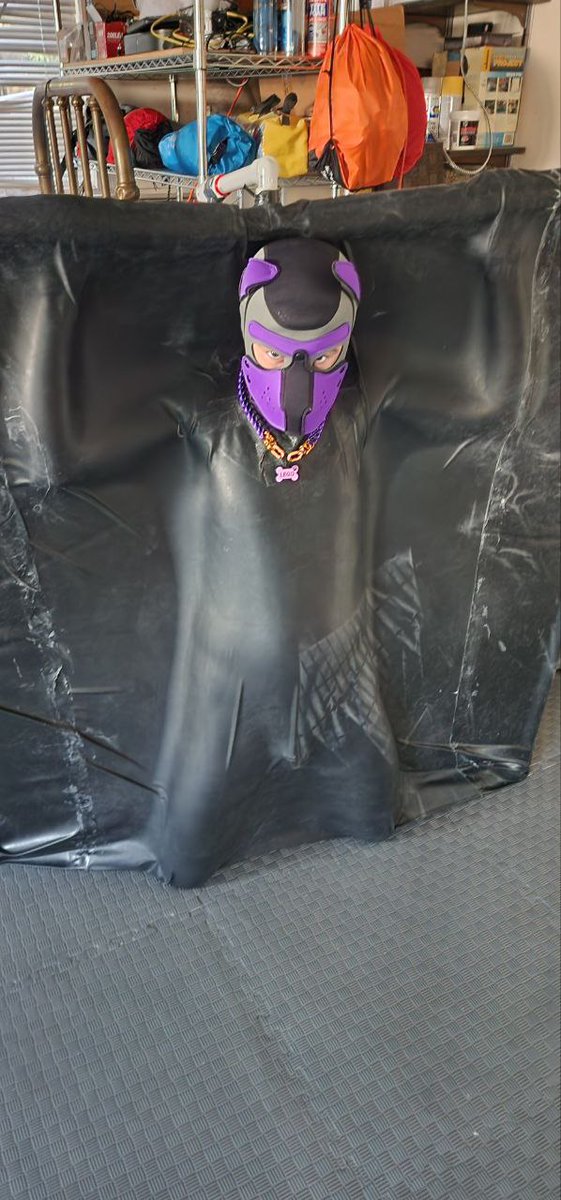 Pup Legoshi tweet media