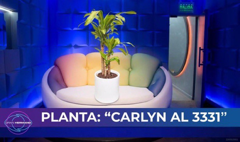 carlyn: la planta es importante para mi
la planta: 

 #granhermanochv