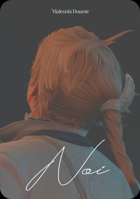 노이 이미지 카드