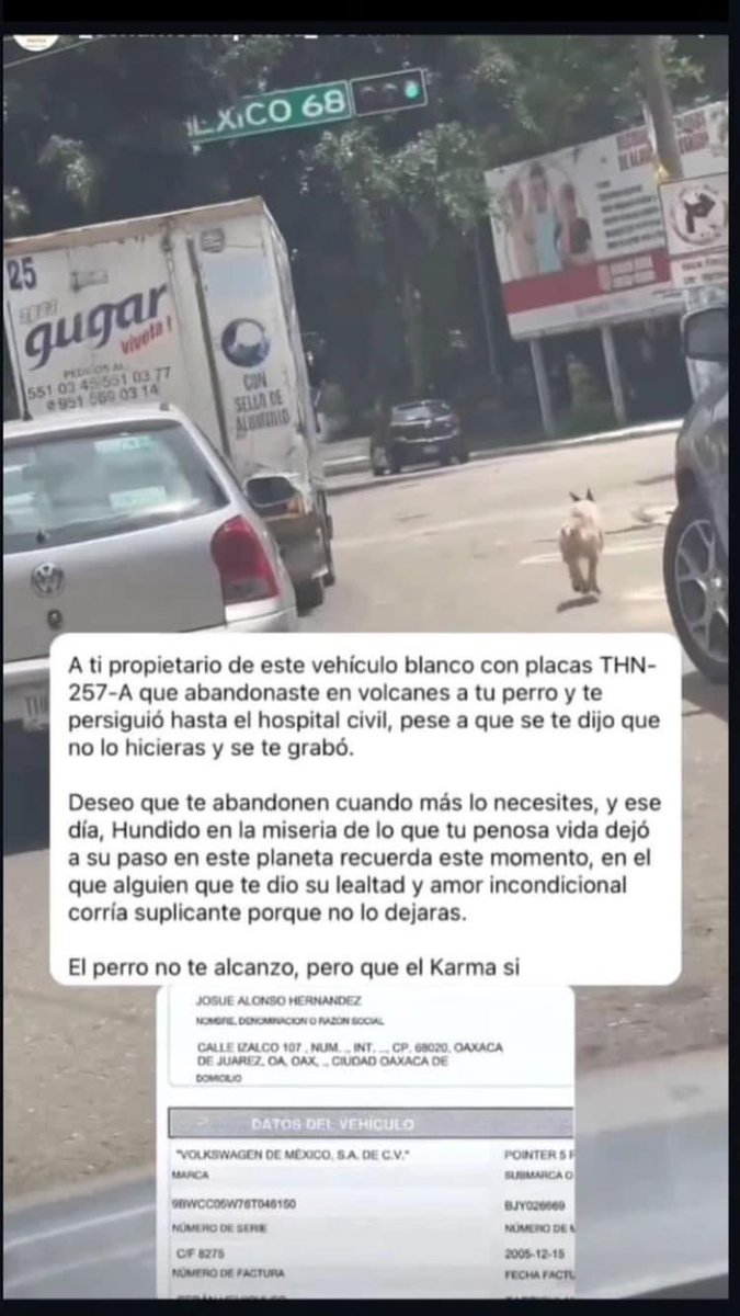 Fundación Toby tweet media