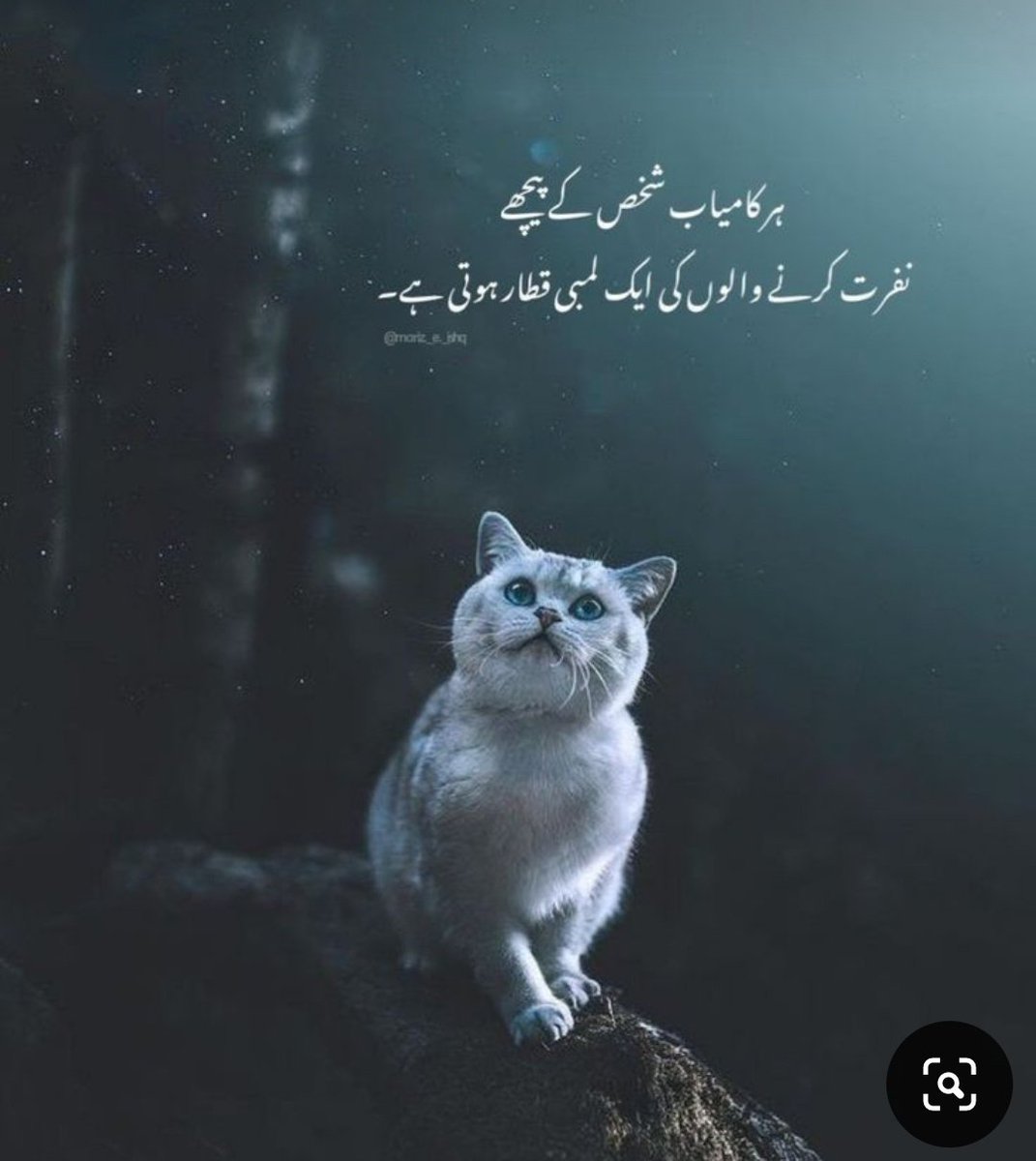 SHARJEEL°°°MERANI.✨ tweet media